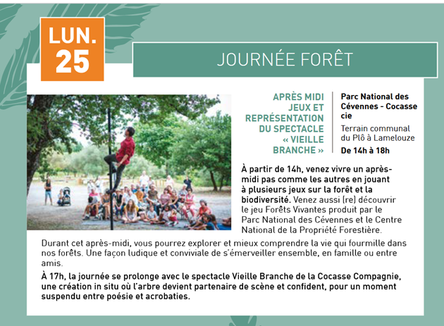 Journée forêt.png