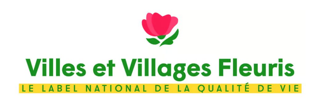 LOGO VVF.png