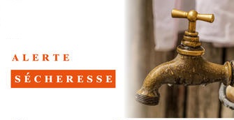 Secheresse.jpg