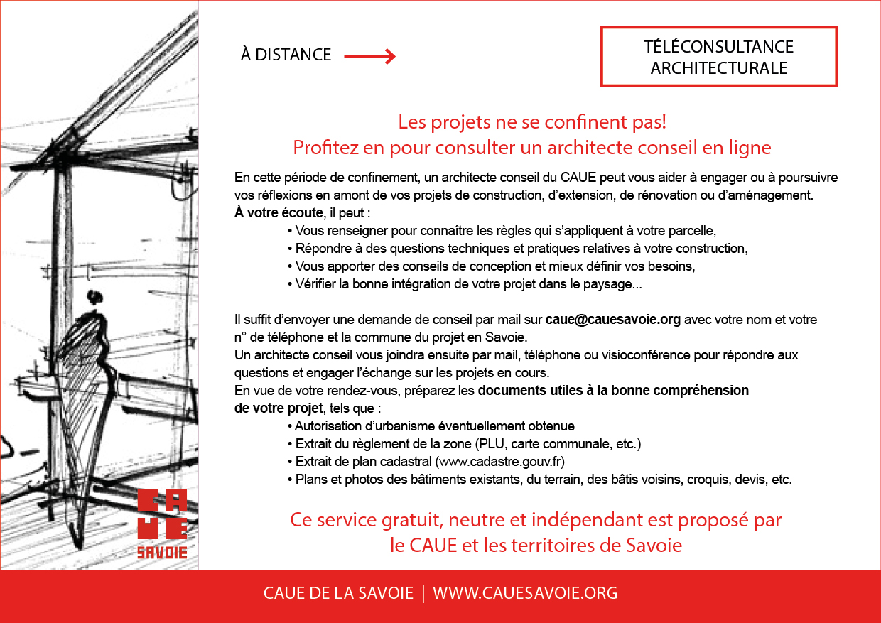 flyer consultance à distance.jpg