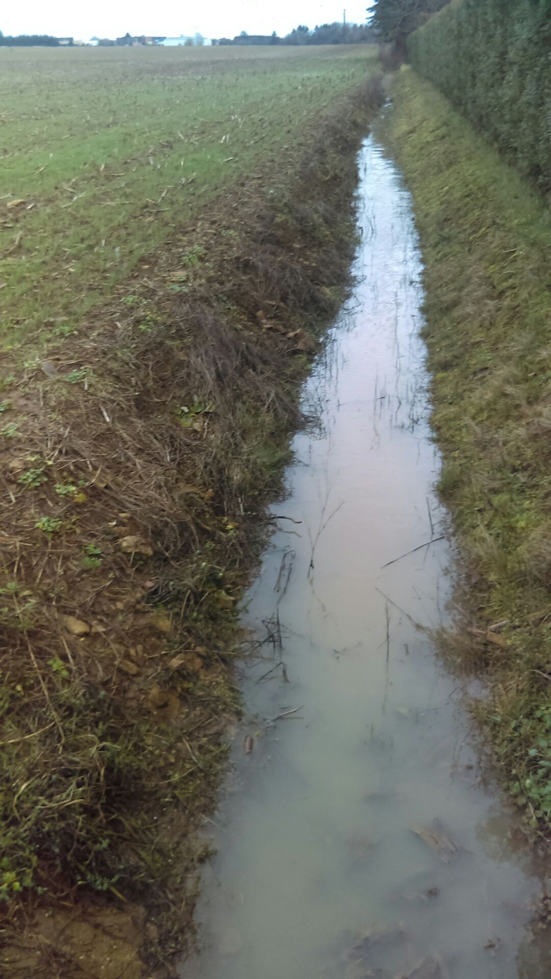 Création Fossé Cita Ida 2.jpg