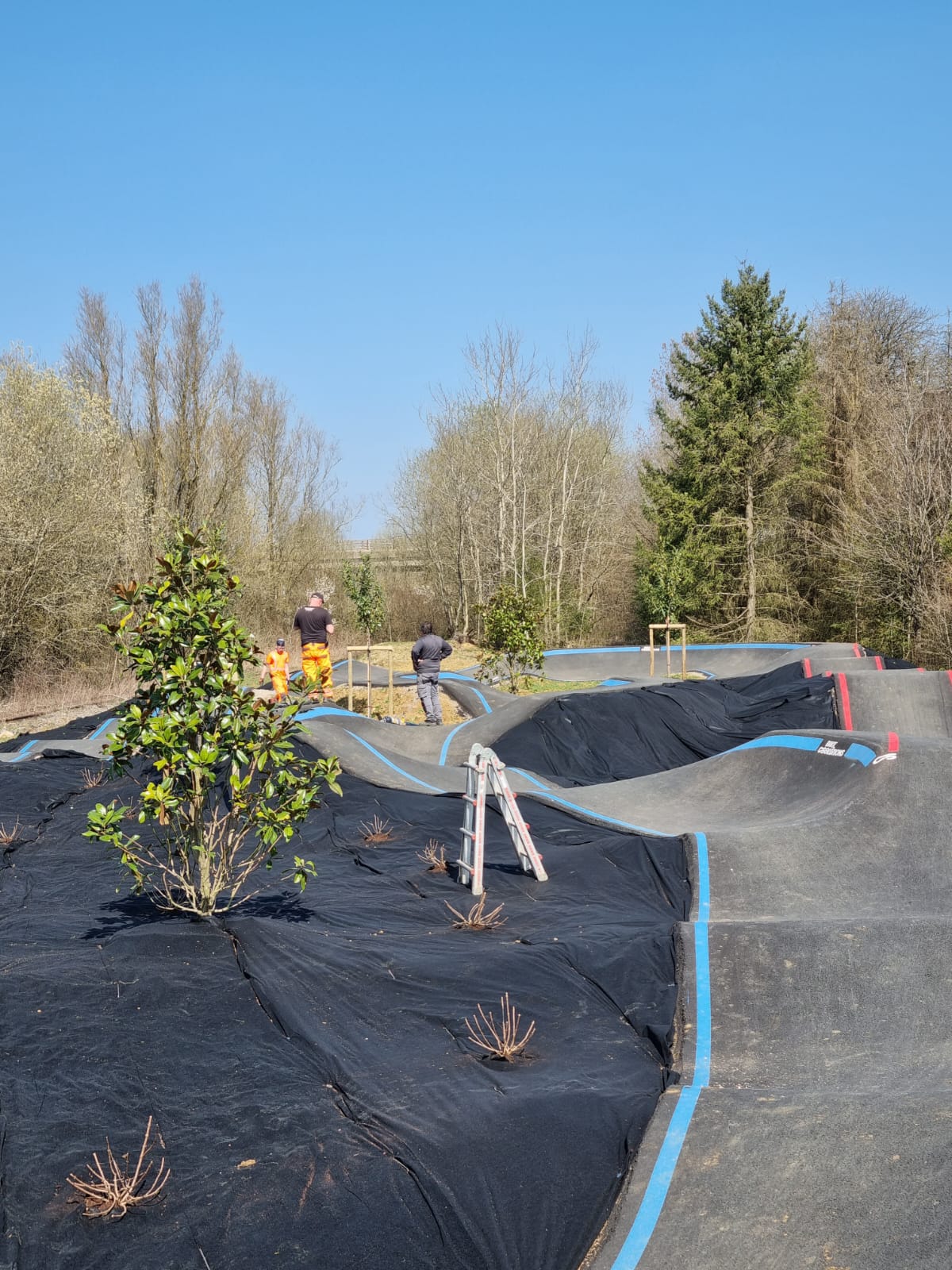 Plantations au Pumptrack.jpg