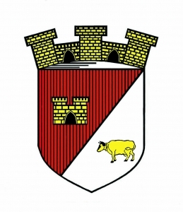 Blason de Gençay.jpg