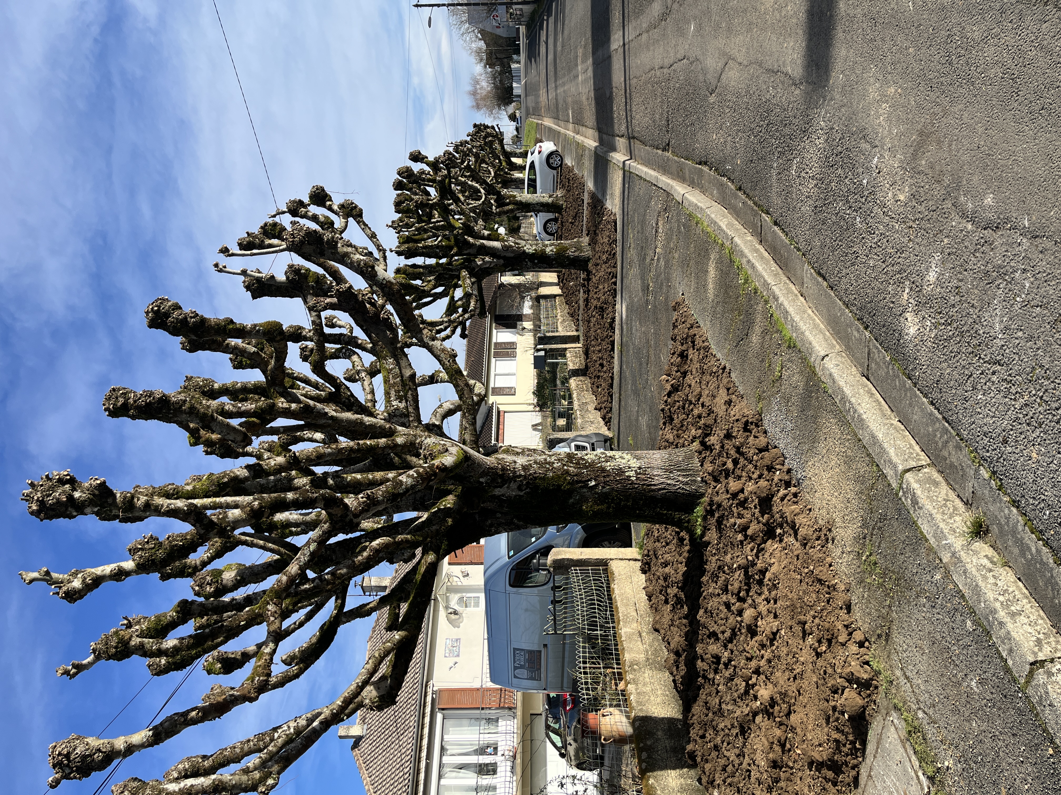 déminéralisation rue Pagnol.JPG