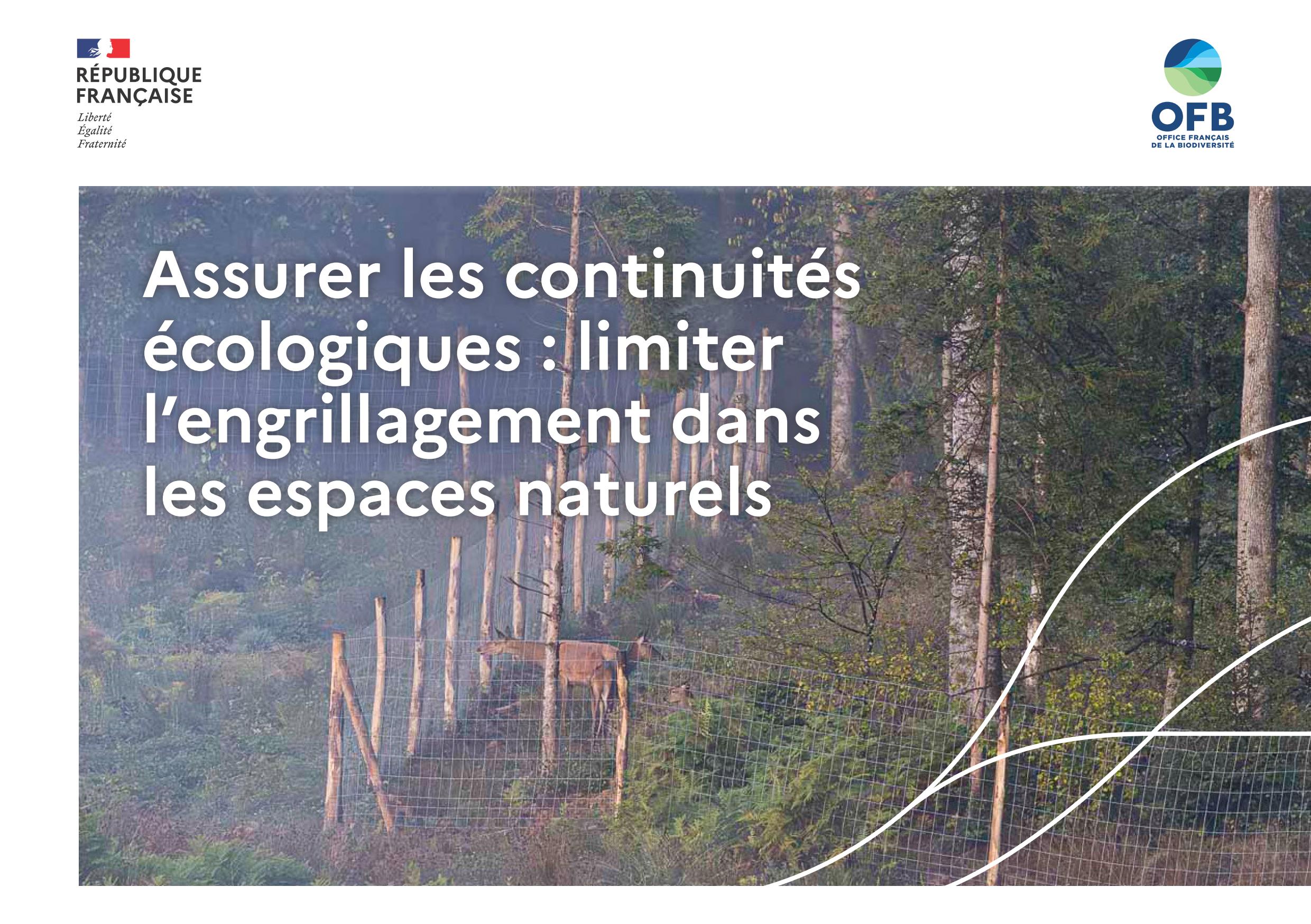 Engrillagement.jpg