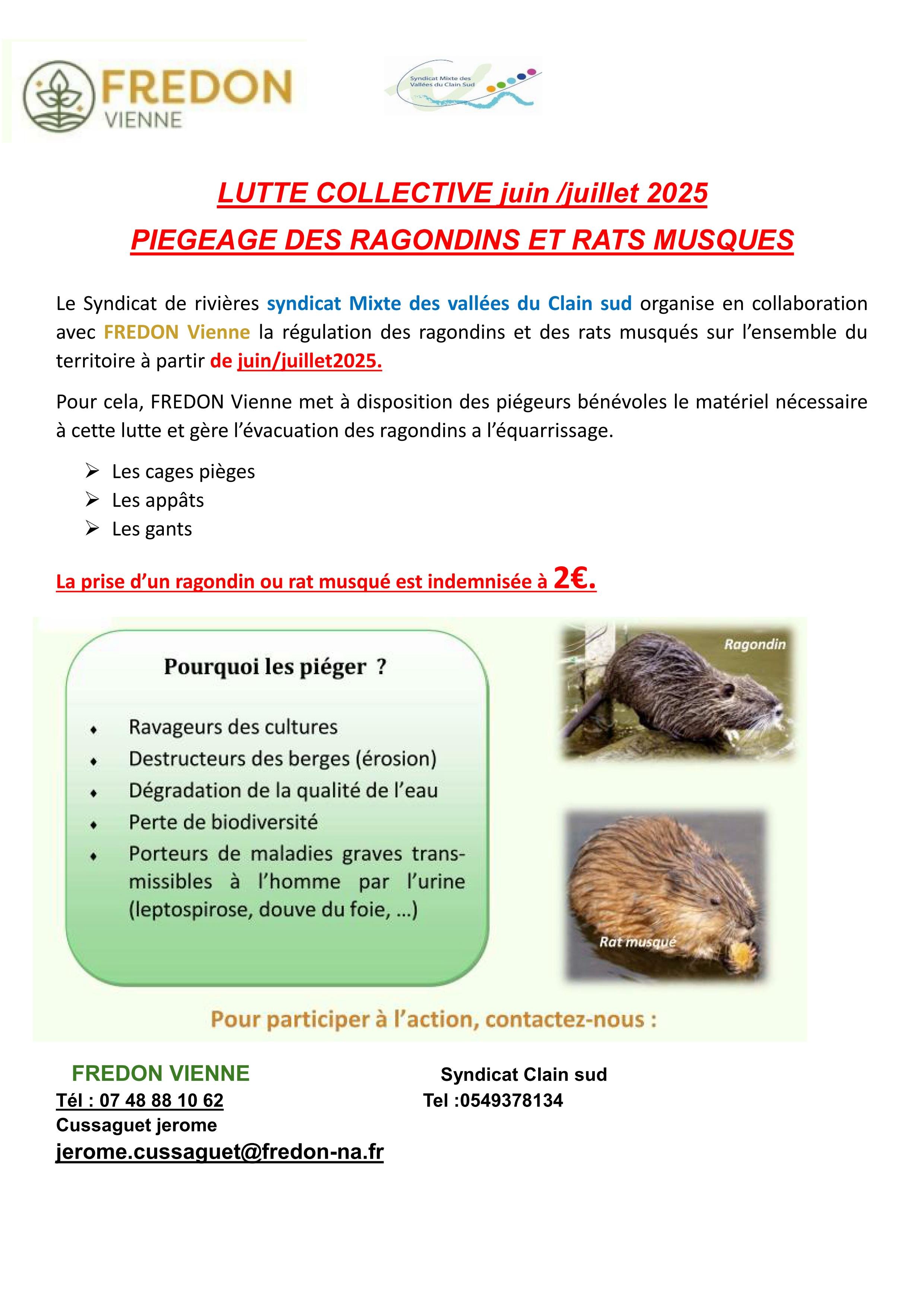 rar musqué.jpg