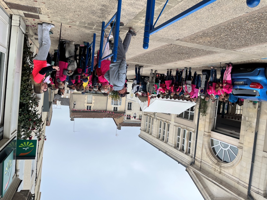 marche rose-1.JPG