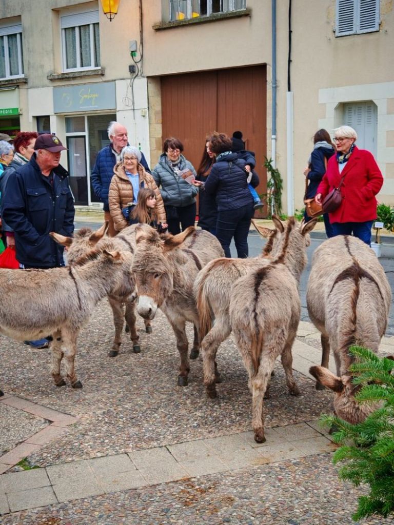 marché de Noël les anes -2.jpg