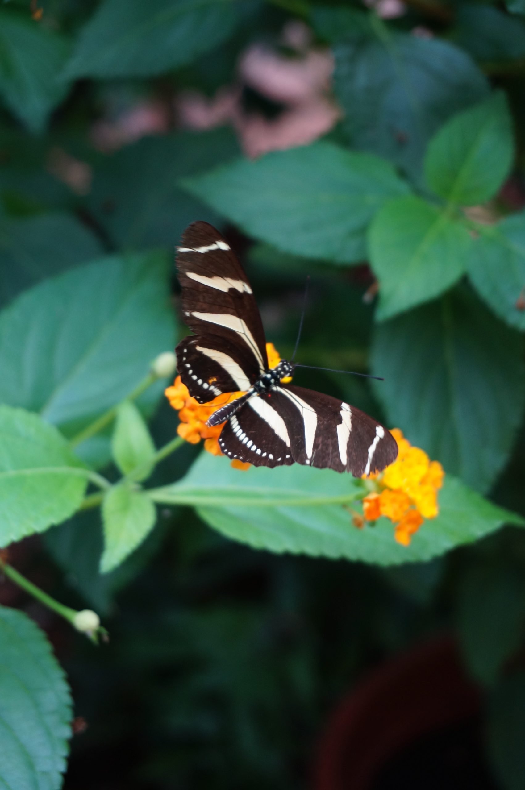 DSC04599-scaled.jpg