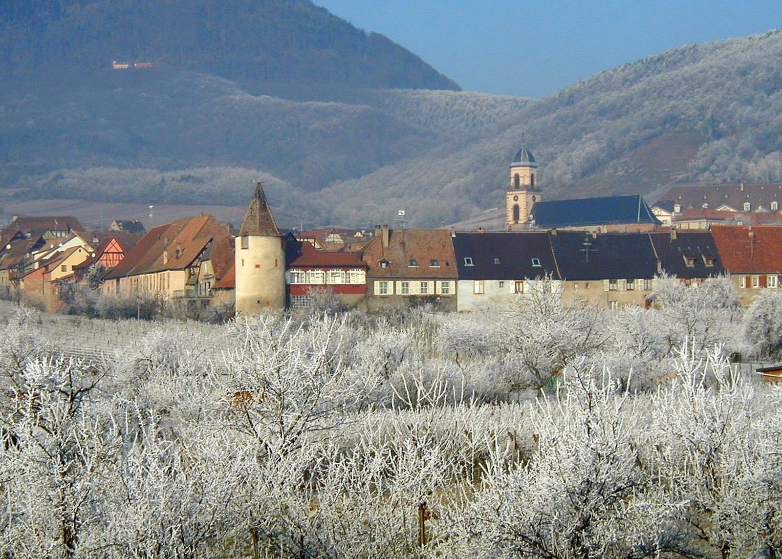 tour des cigognes neige