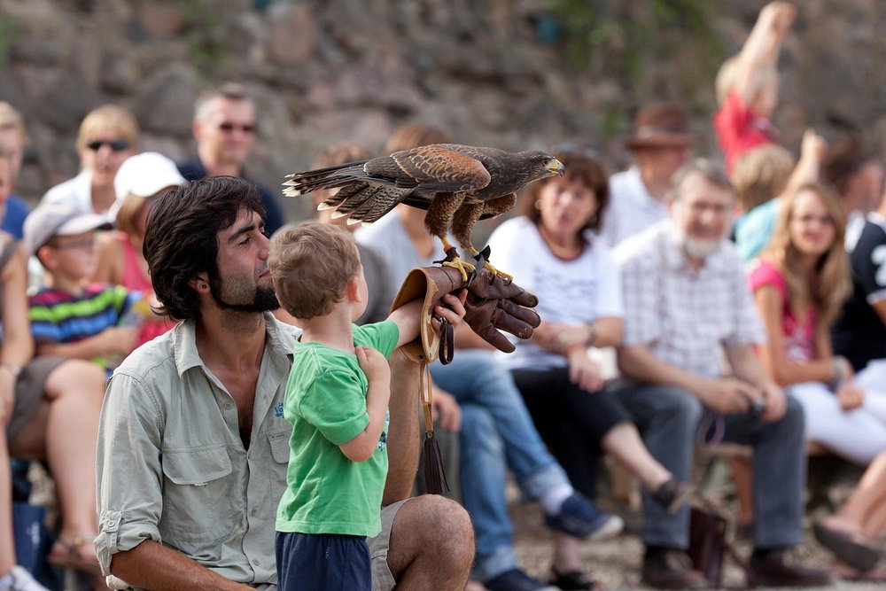 la-volerie-des-aigles.jpg