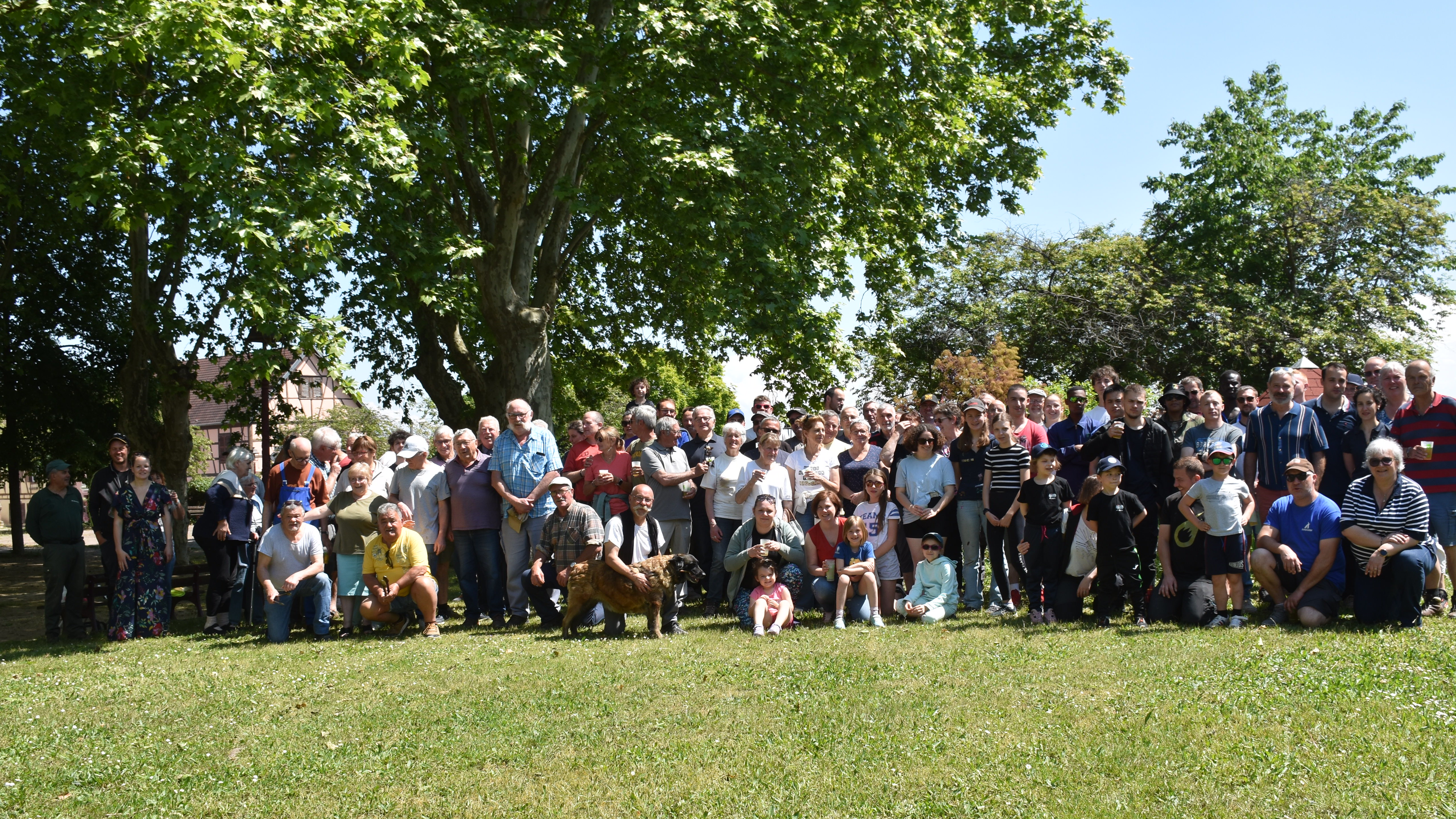 DSC_0384.JPG