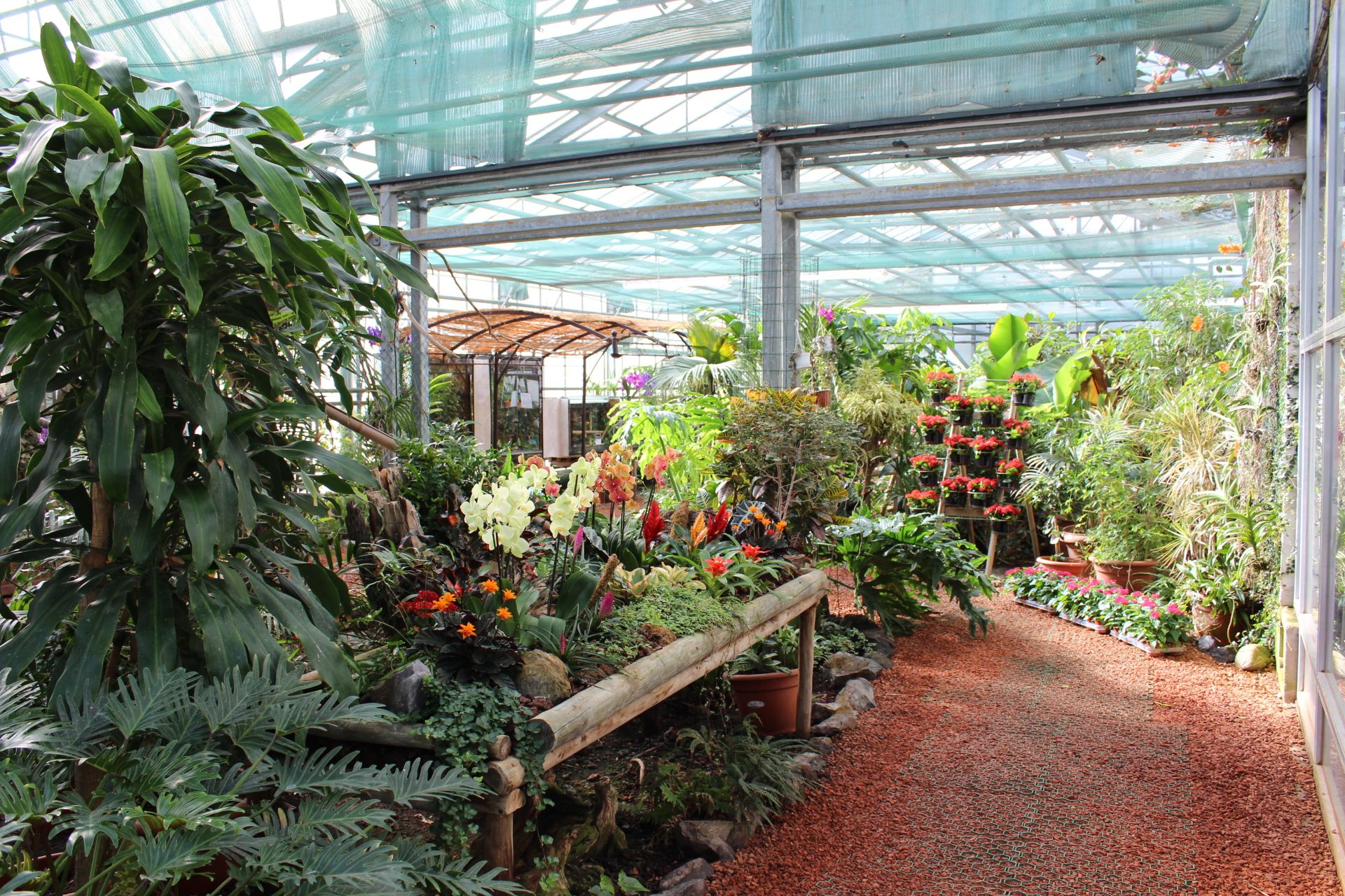jardin-des-papillons.jpg