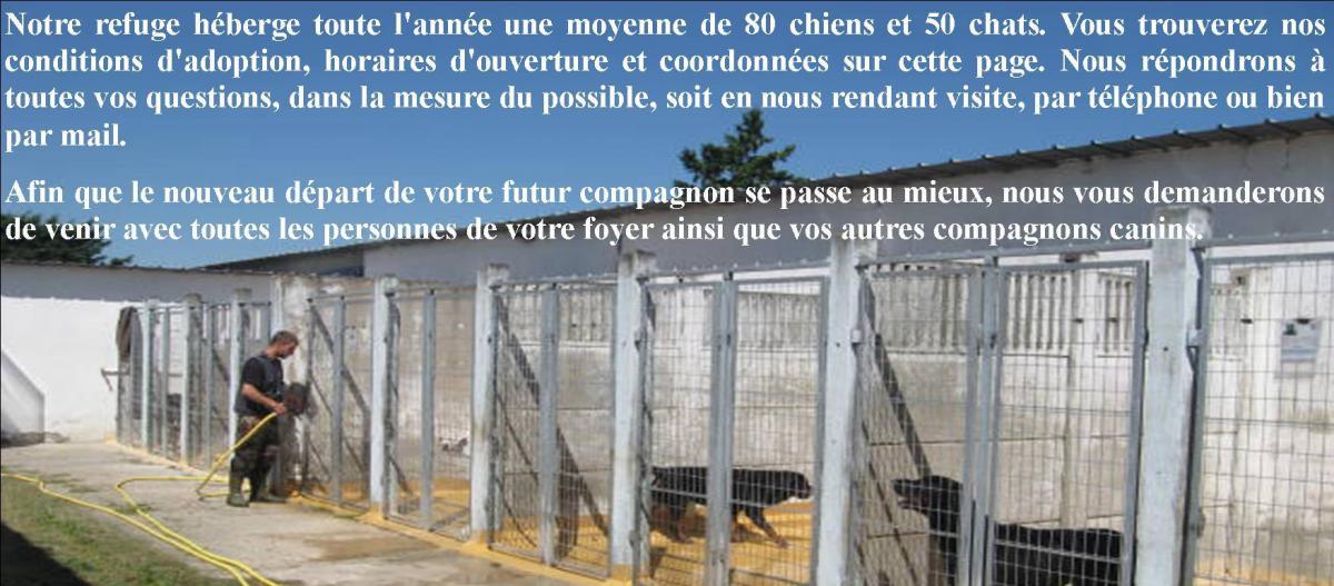 SPA REFUGE CHILLEURS