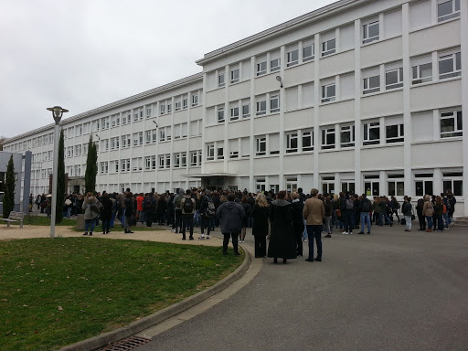 lycée en foret.jpg