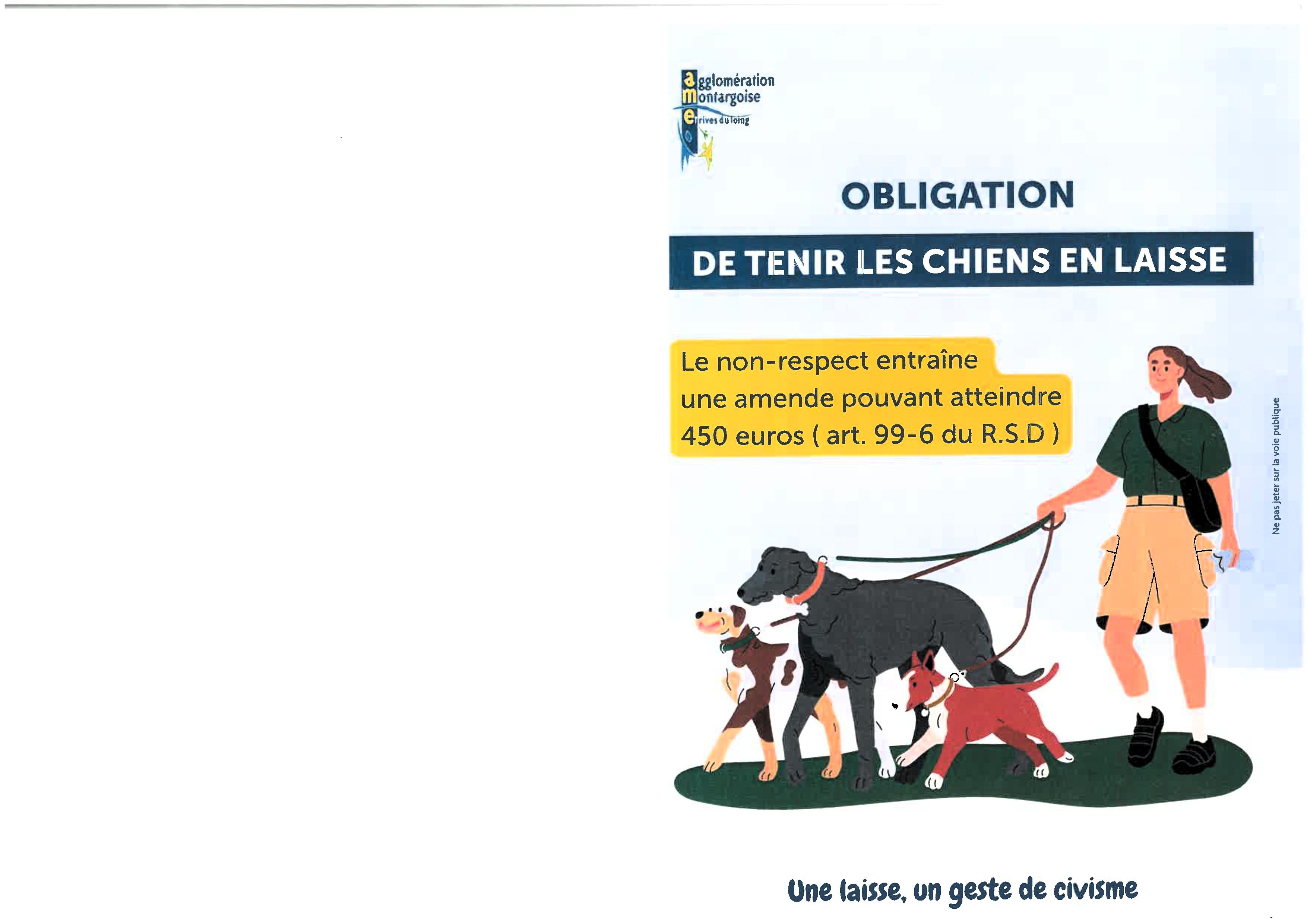 chien en laisse 1.jpg