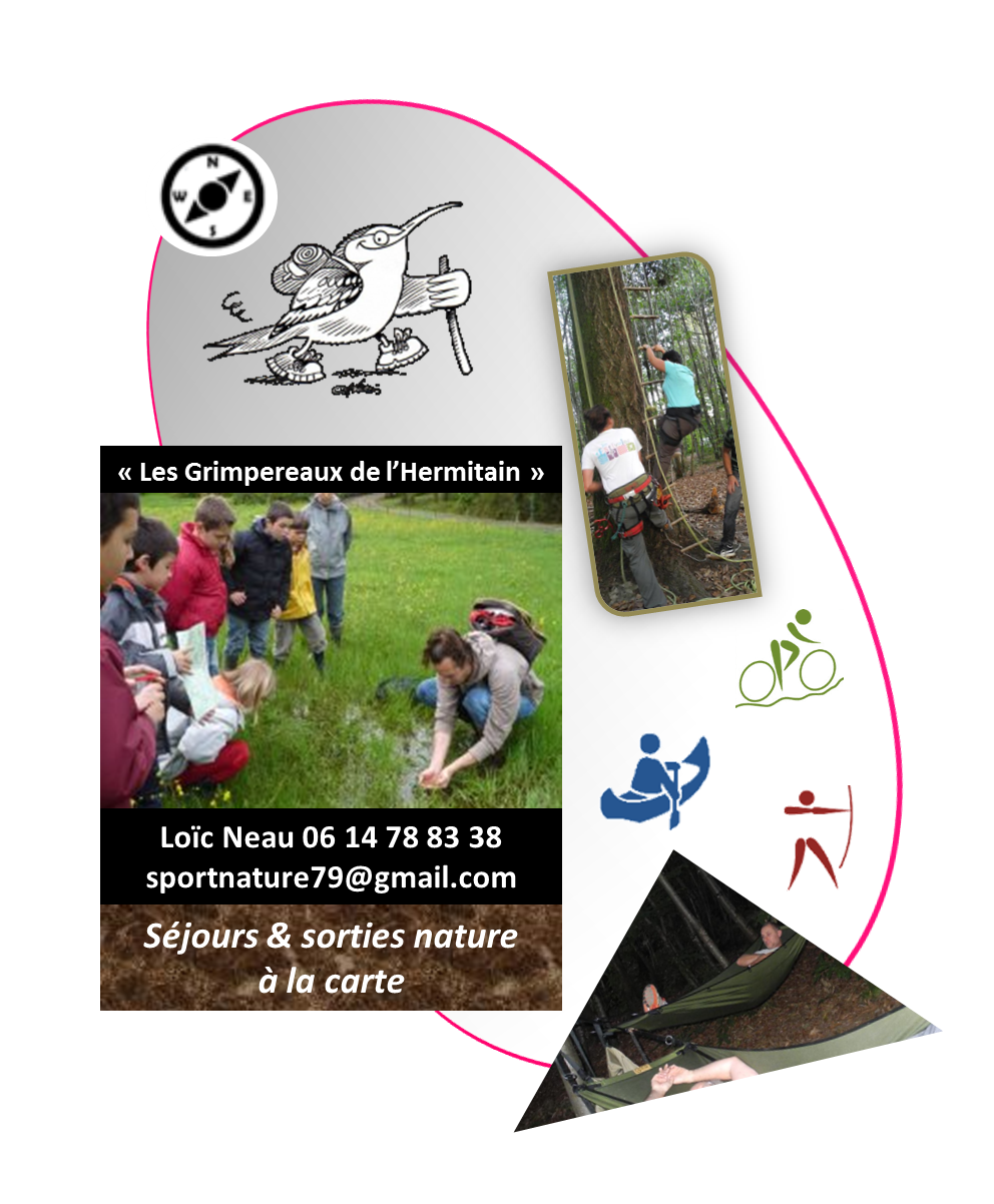 Les Grimpereaux de l_Hermitain.png
