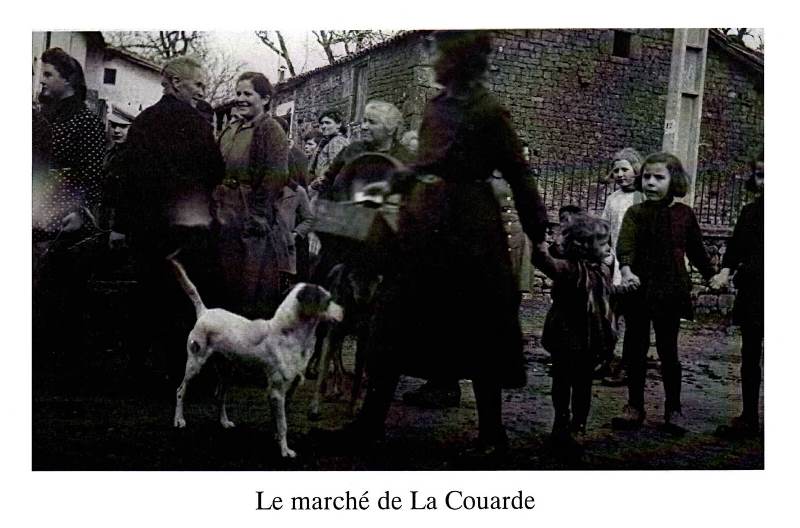 Le marché de La Couarde, les habitants.jpg