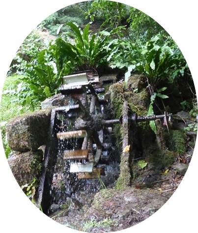 Roue Cibaudière.jpg