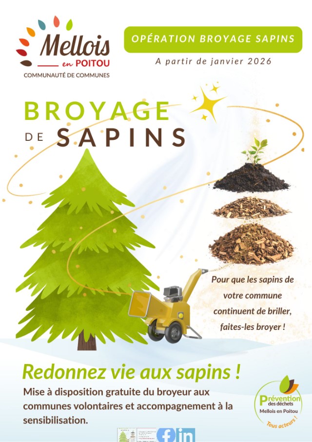 20251112_Boyage sapin.jpg