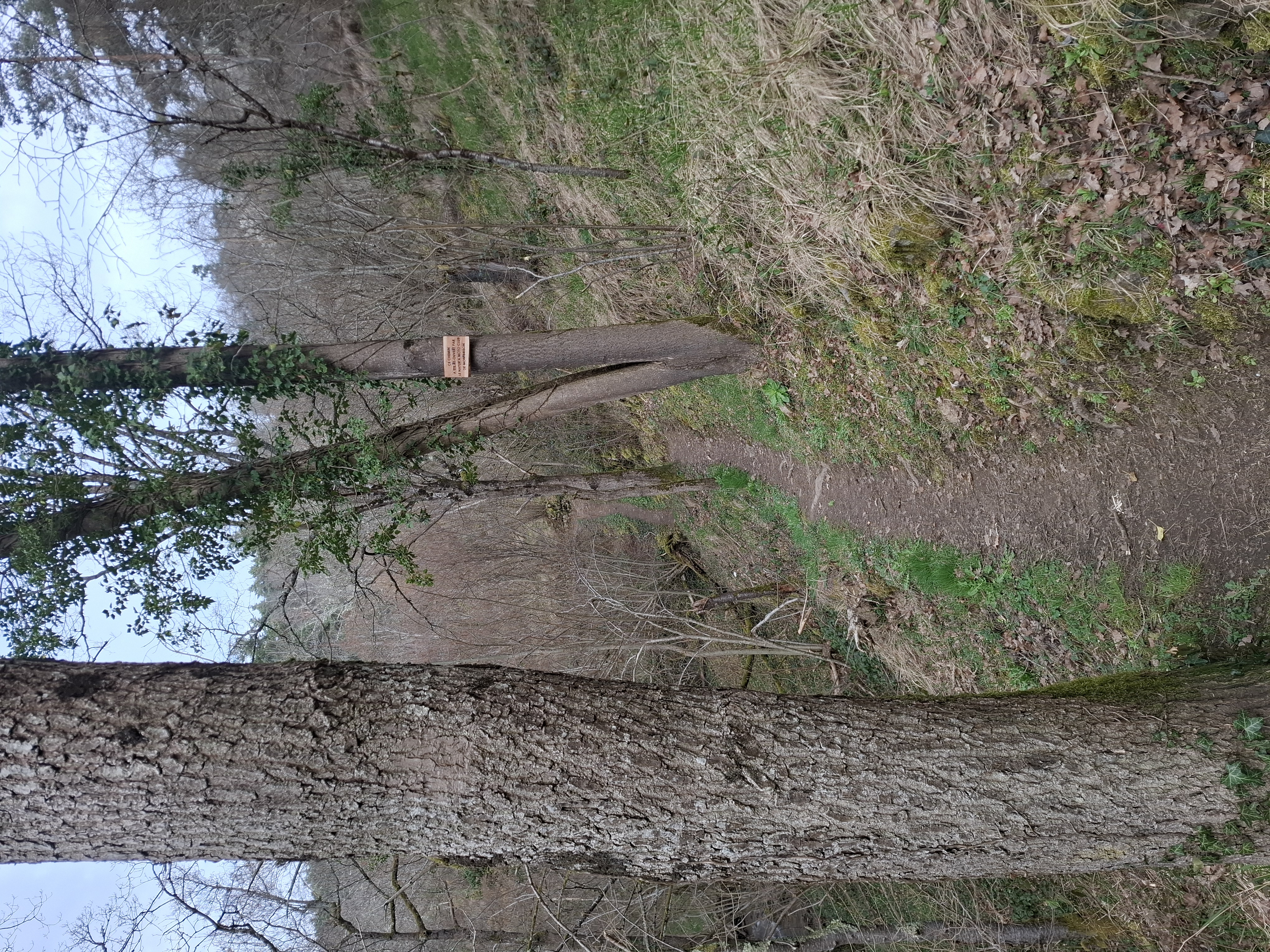 2026_03_07 1000070463.jpg