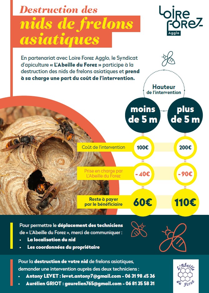 2025_06_23 tarif frelons asitaiques.jpg