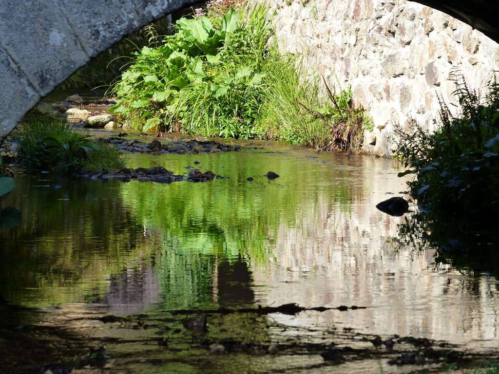 zoom rivière vieil ecotay
