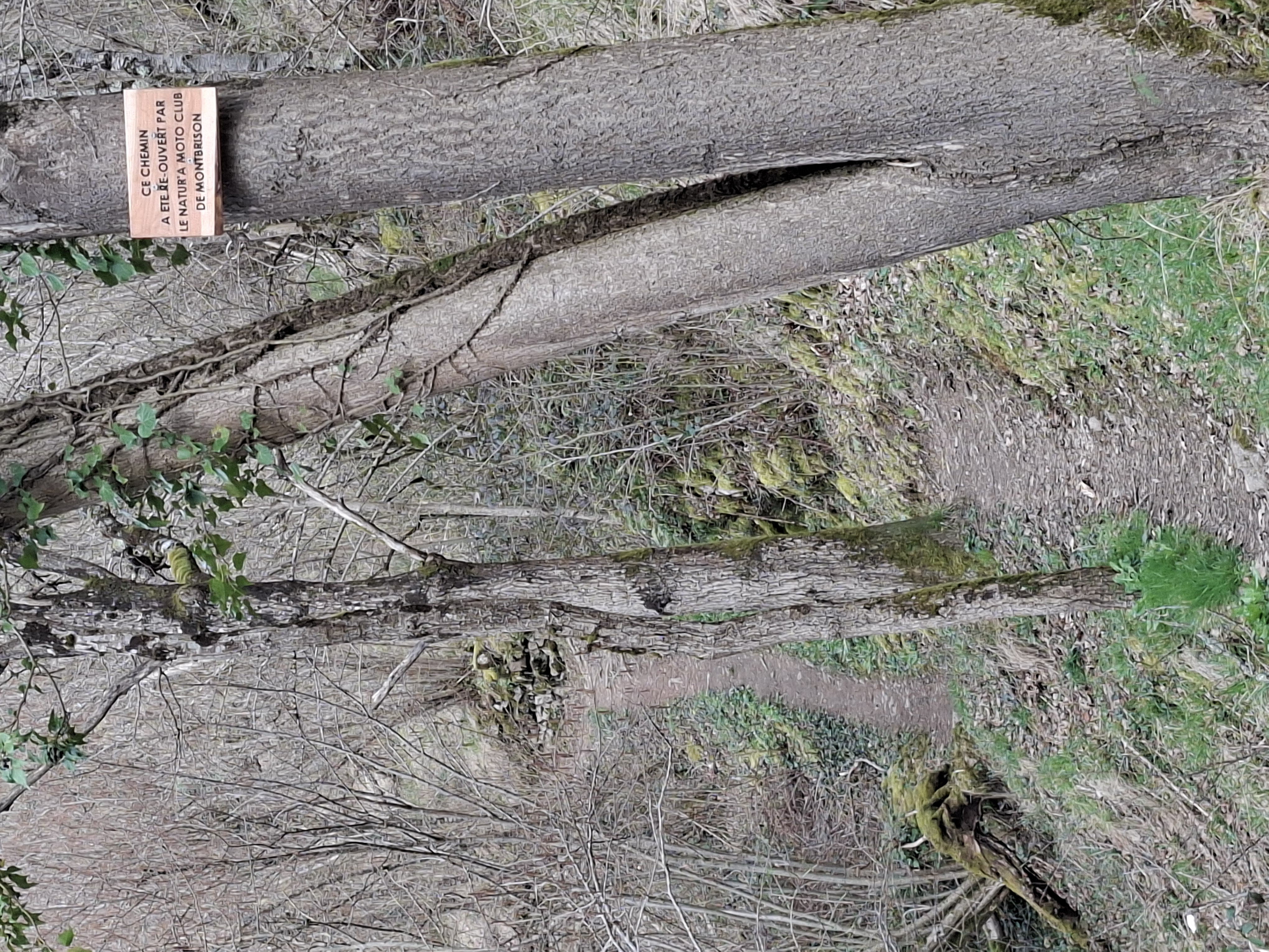 2026_03_07 1000070464.jpg