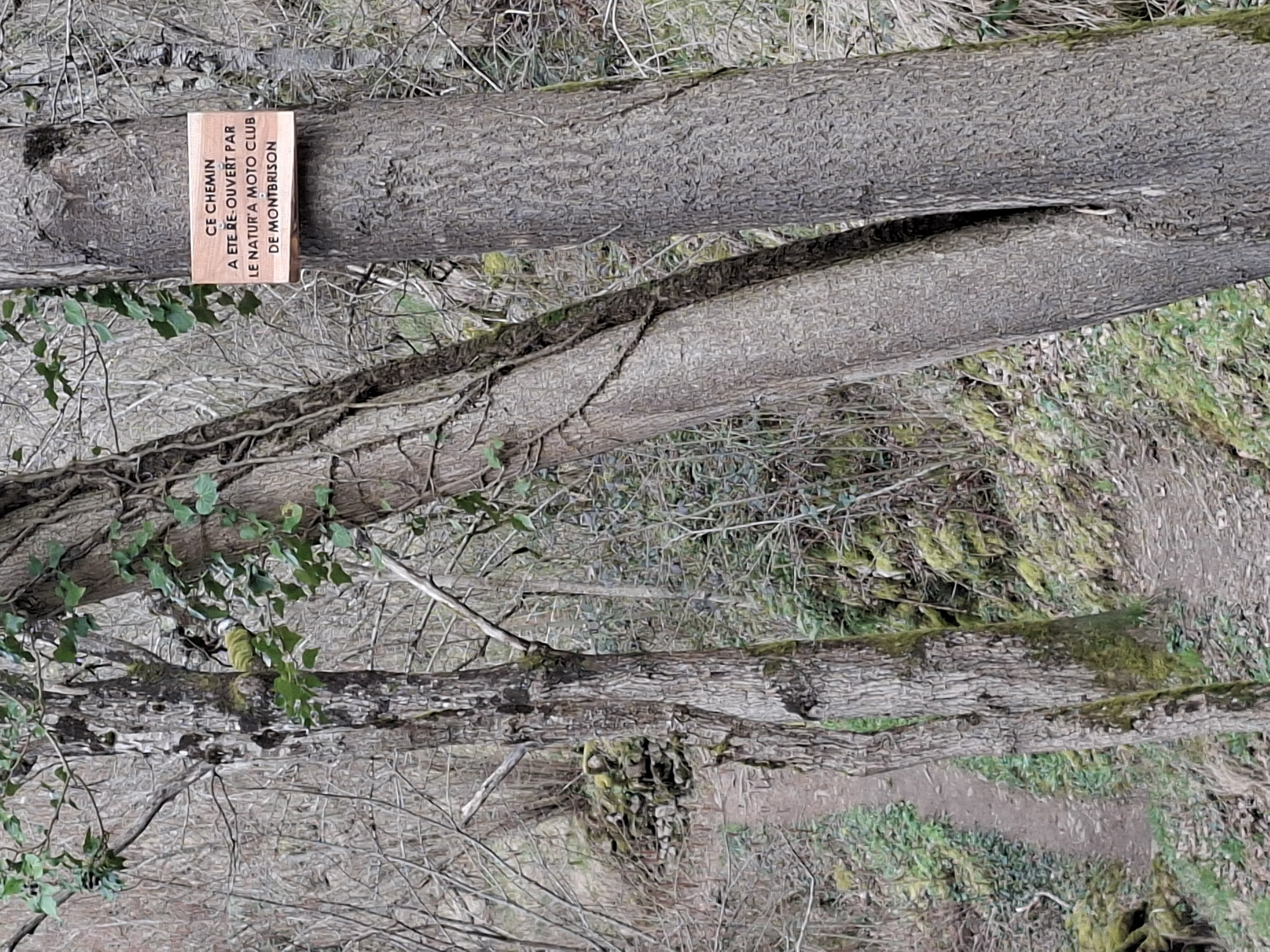 2026_03_07 1000070468.jpg