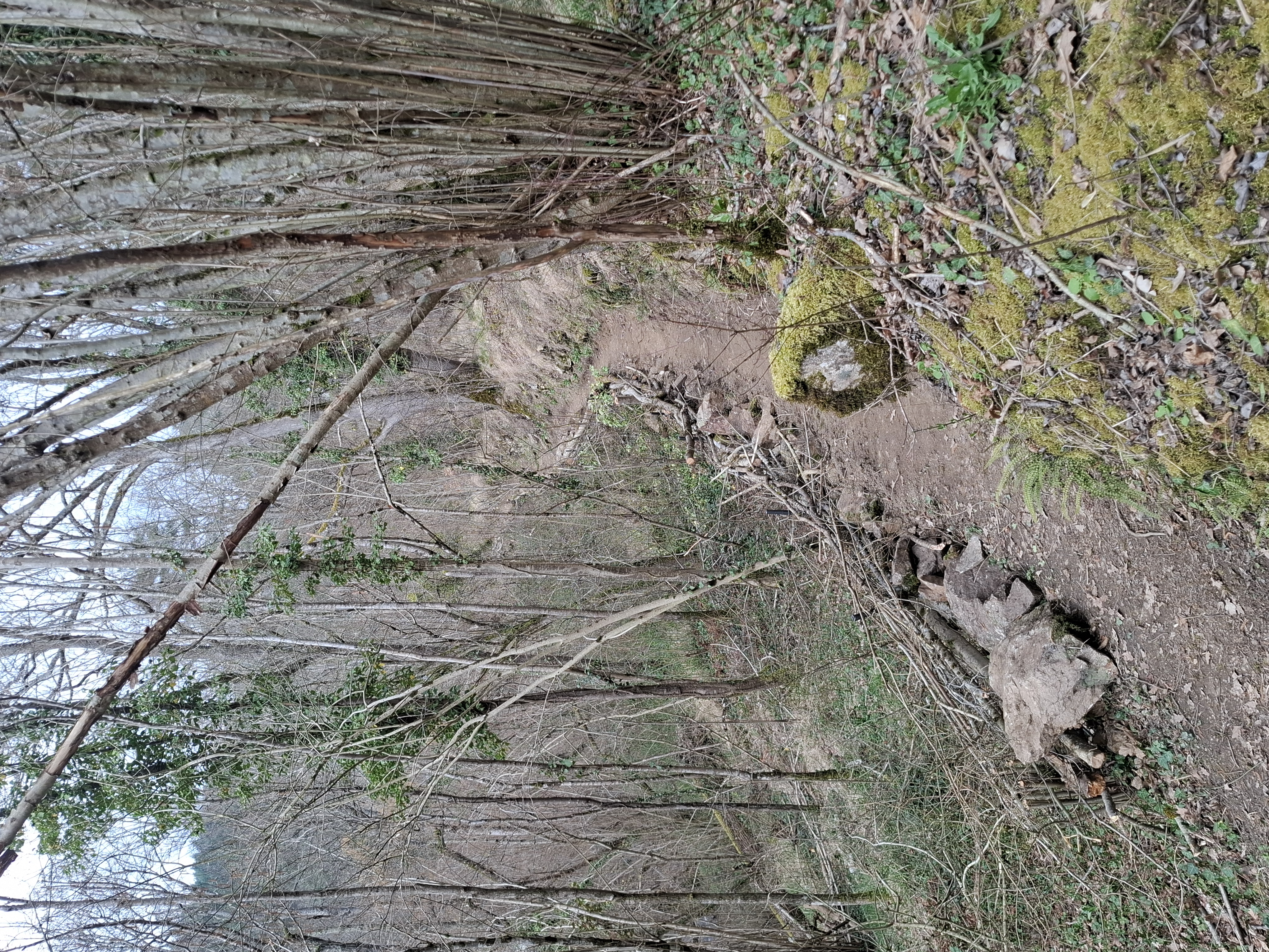 2026_03_07 1000070465.jpg