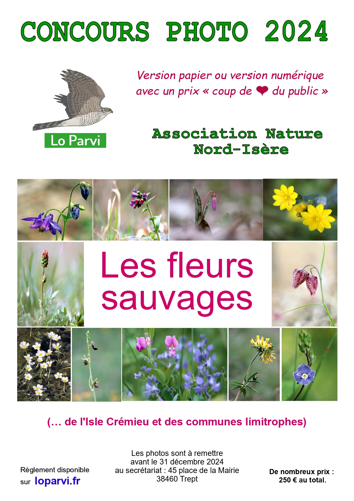 affiche-les-fleurs-sauvages_page-0001.jpg