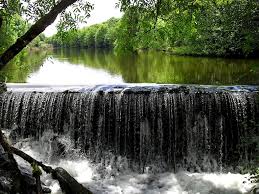 Optevoz Etang de la tuile 8.jpg