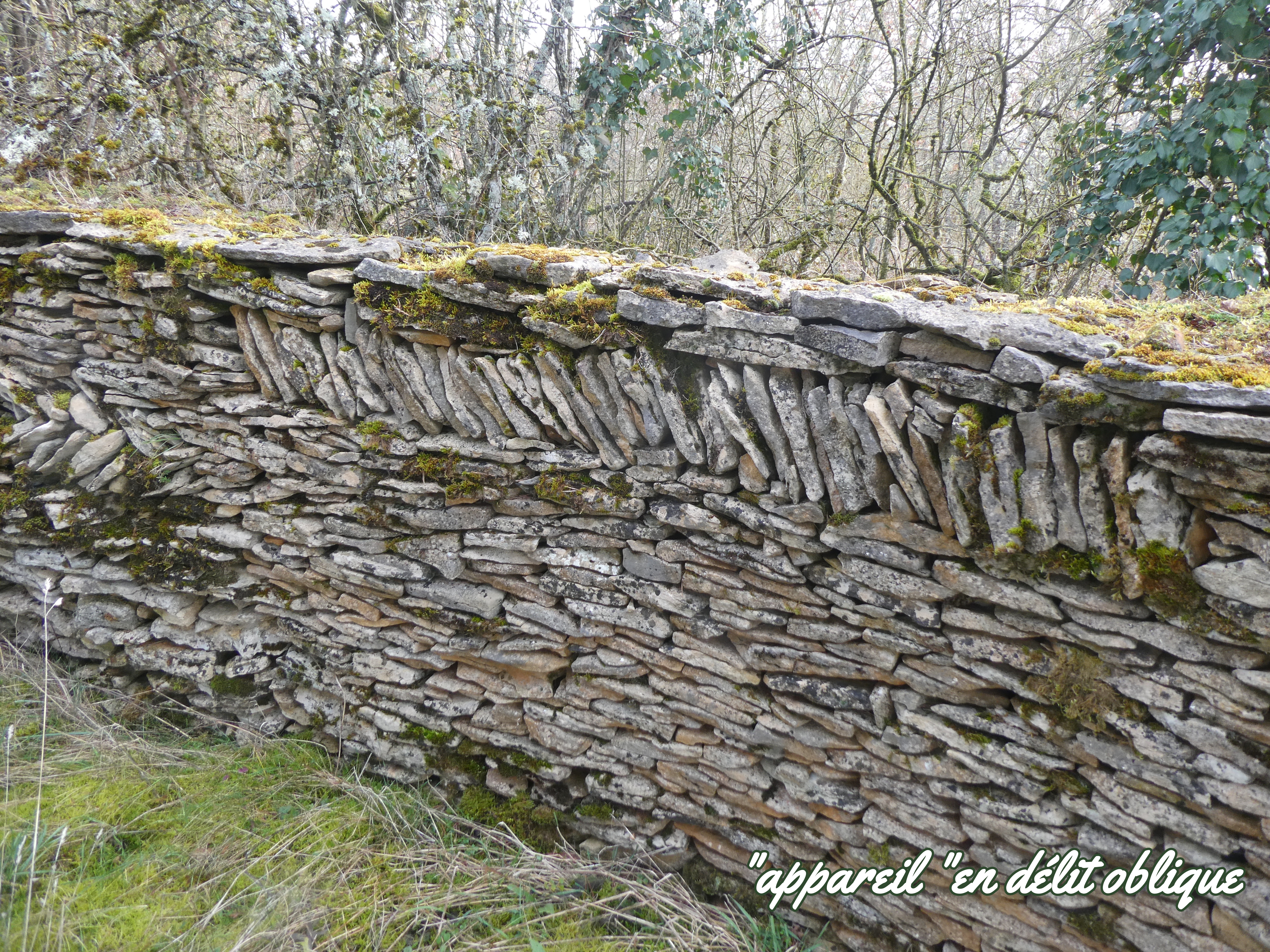 mur des argilières page 15.JPG