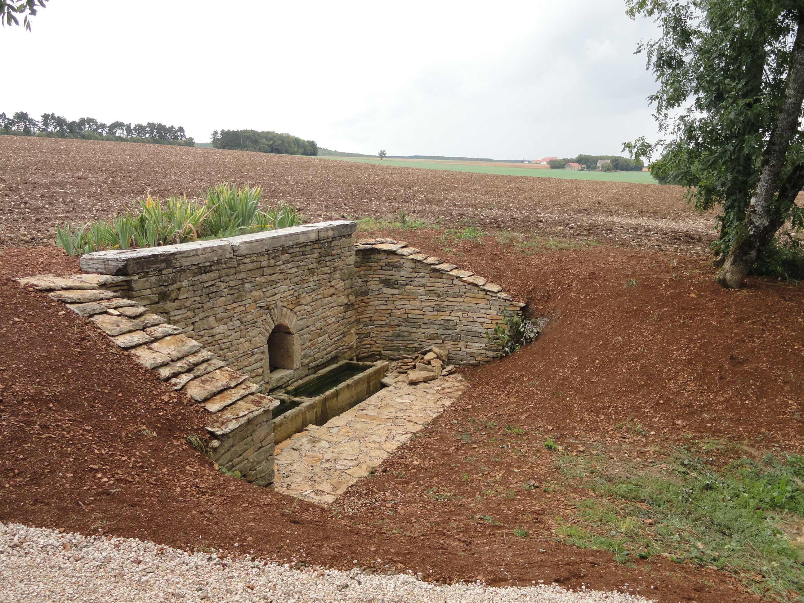 la fontaine de ronge restaurée _002_.jpg
