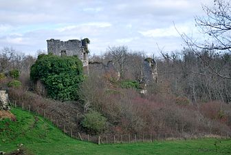 Chateau de Malengin