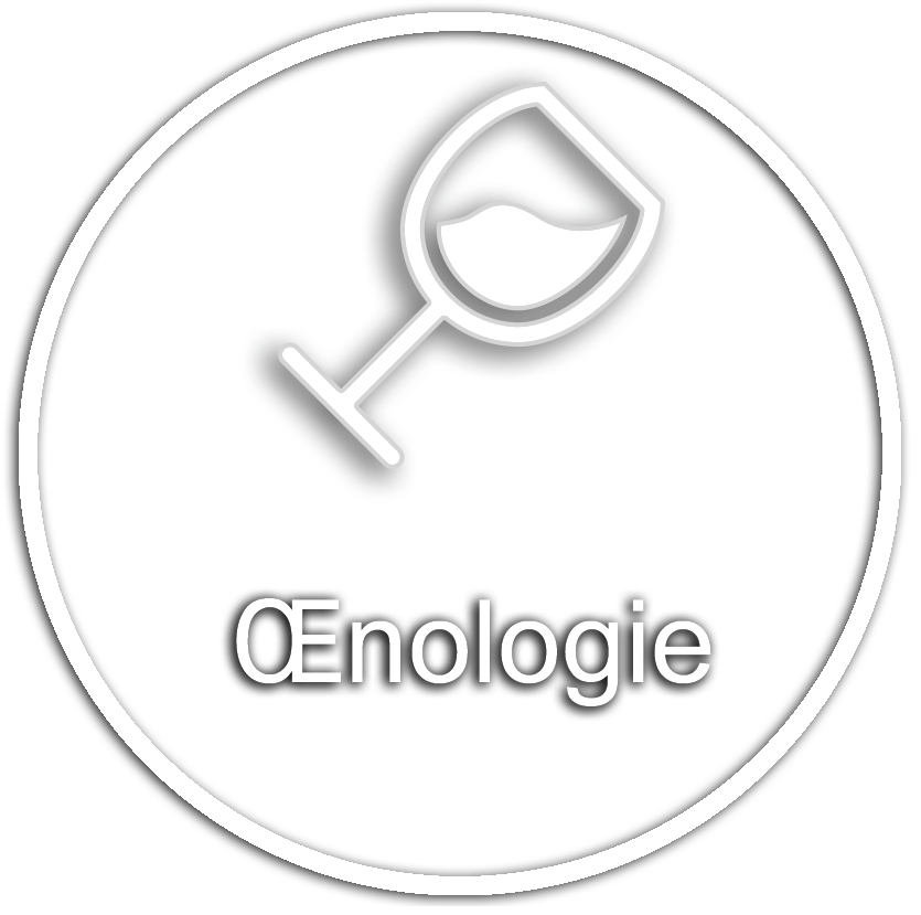 Oenologie