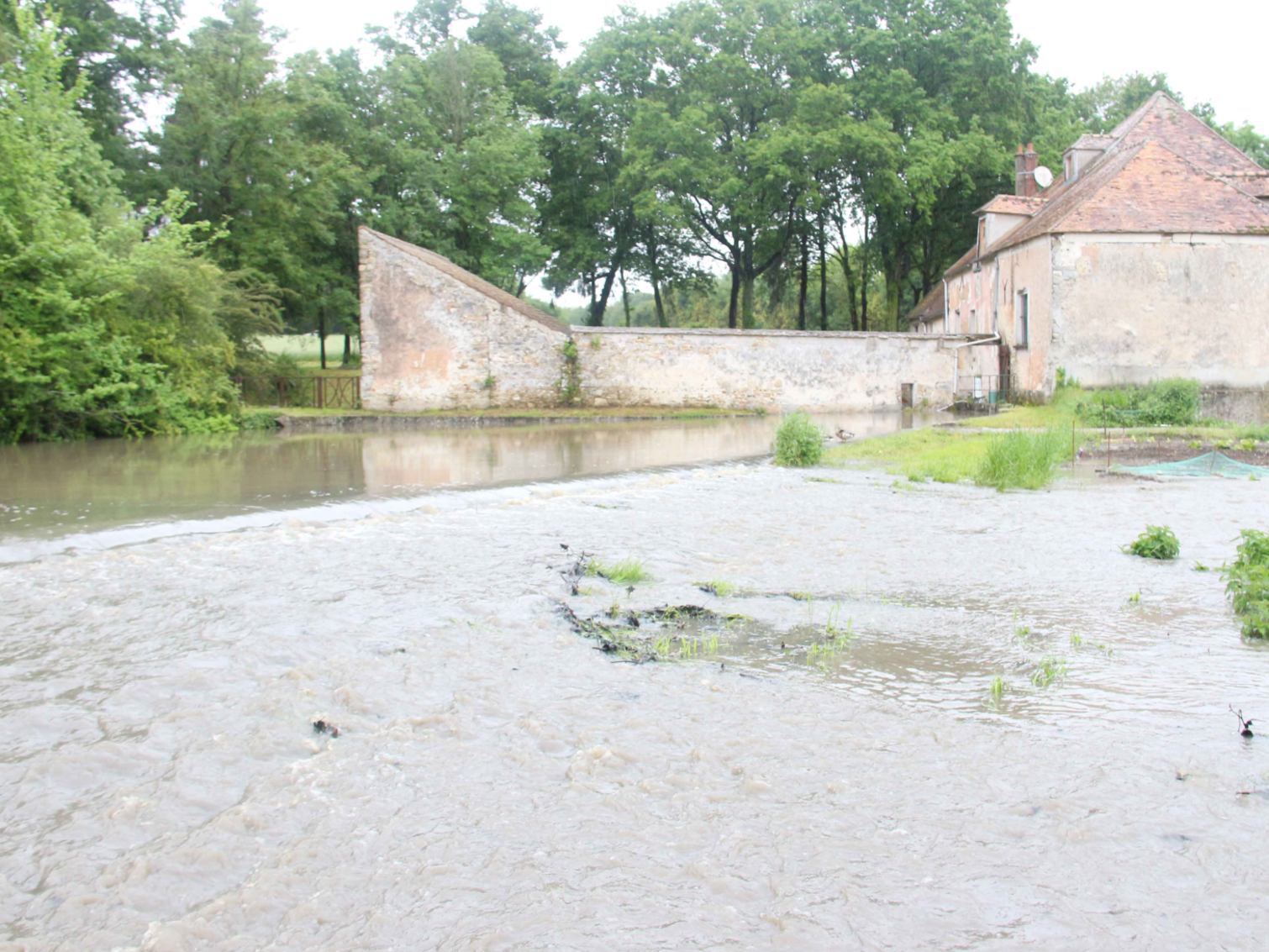 Image par défaut