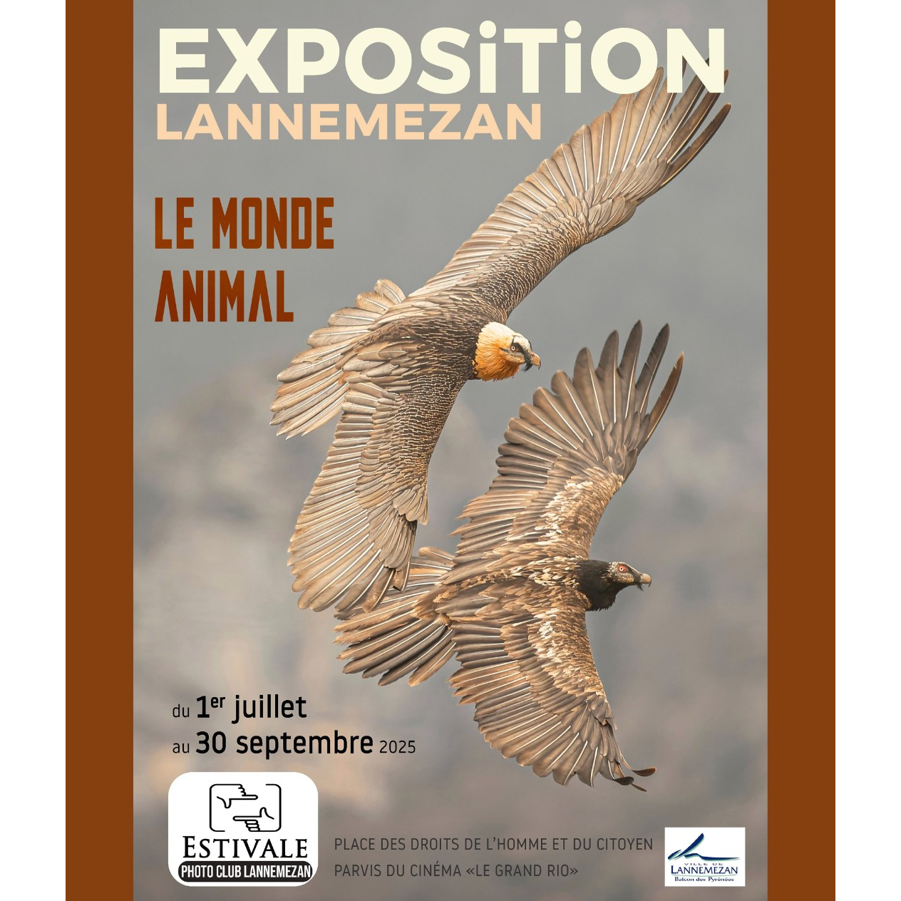Image par défaut