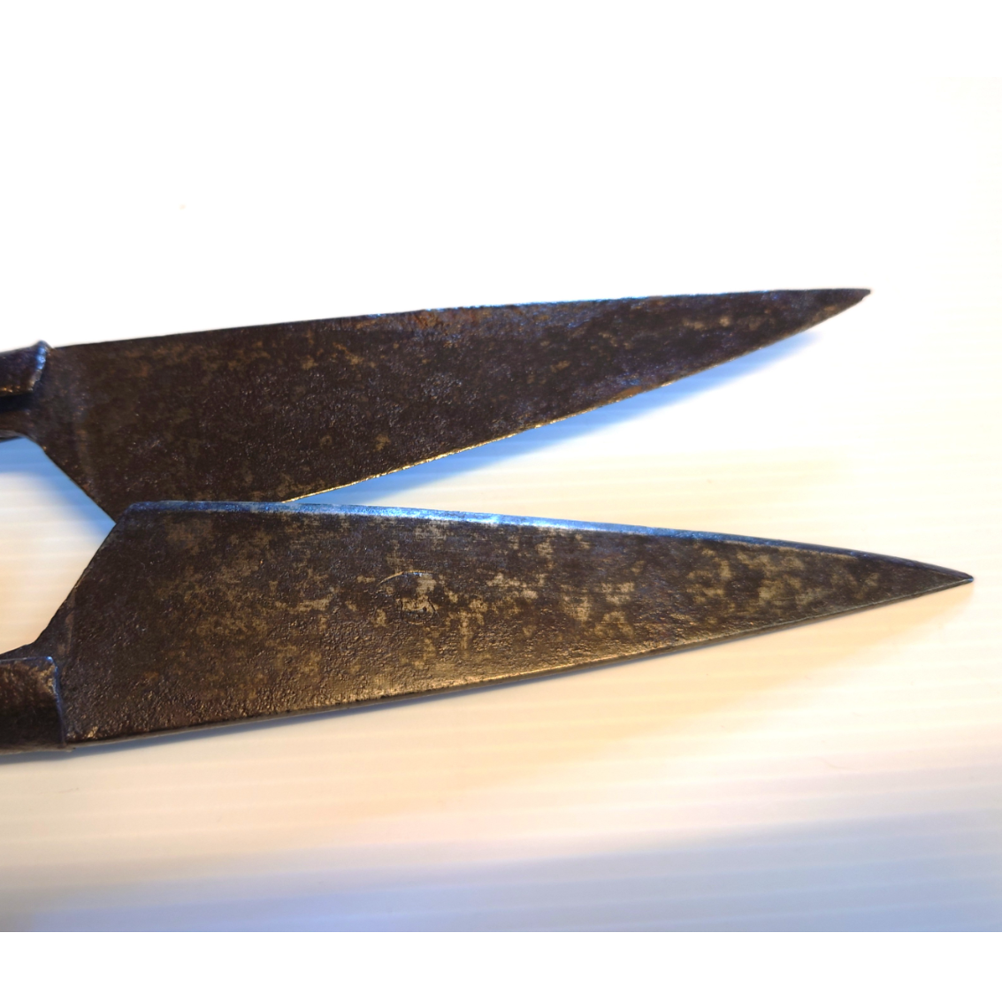 Découvrez l'objet du mois de mars