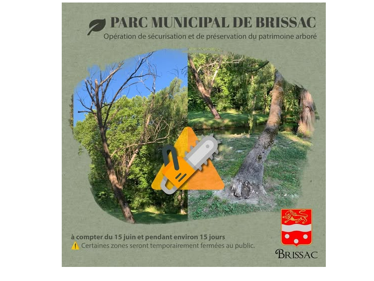 Image par défaut