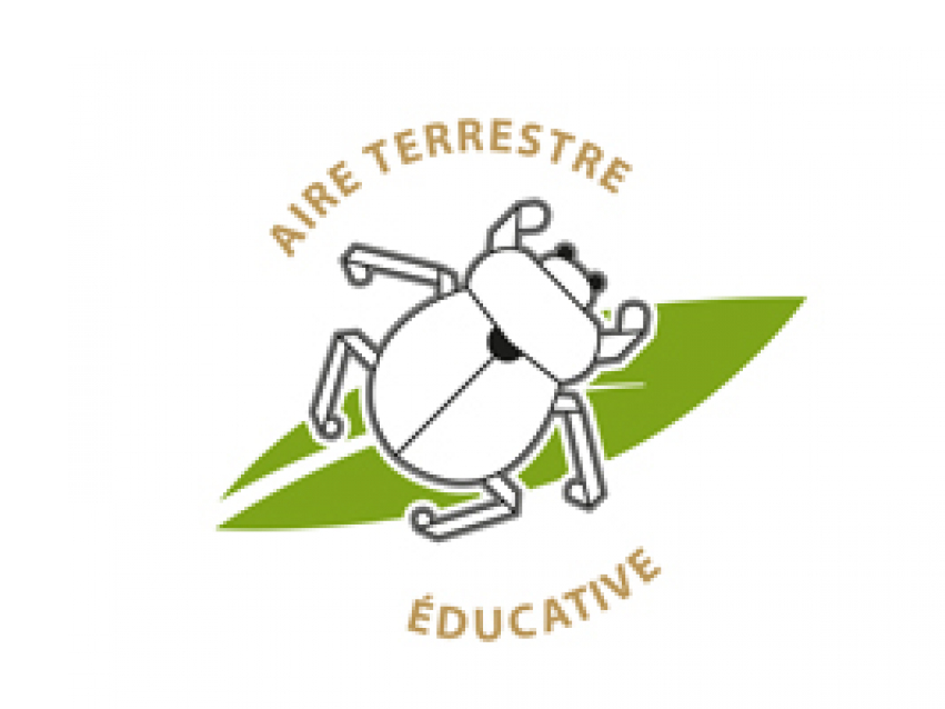Image par défaut