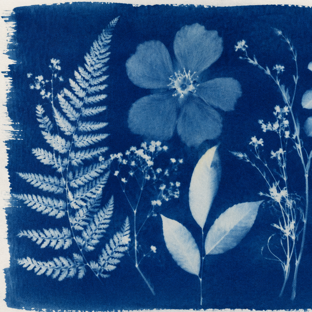 Image par défaut