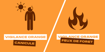 🔶 Vigilance Feux de Forêt – Niveau Élevé (Orange)