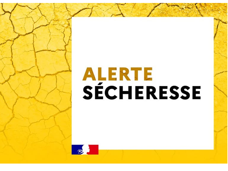 Image par défaut