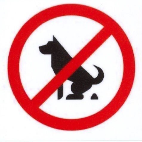 Image par défaut