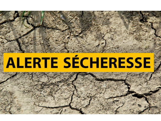 Image par défaut