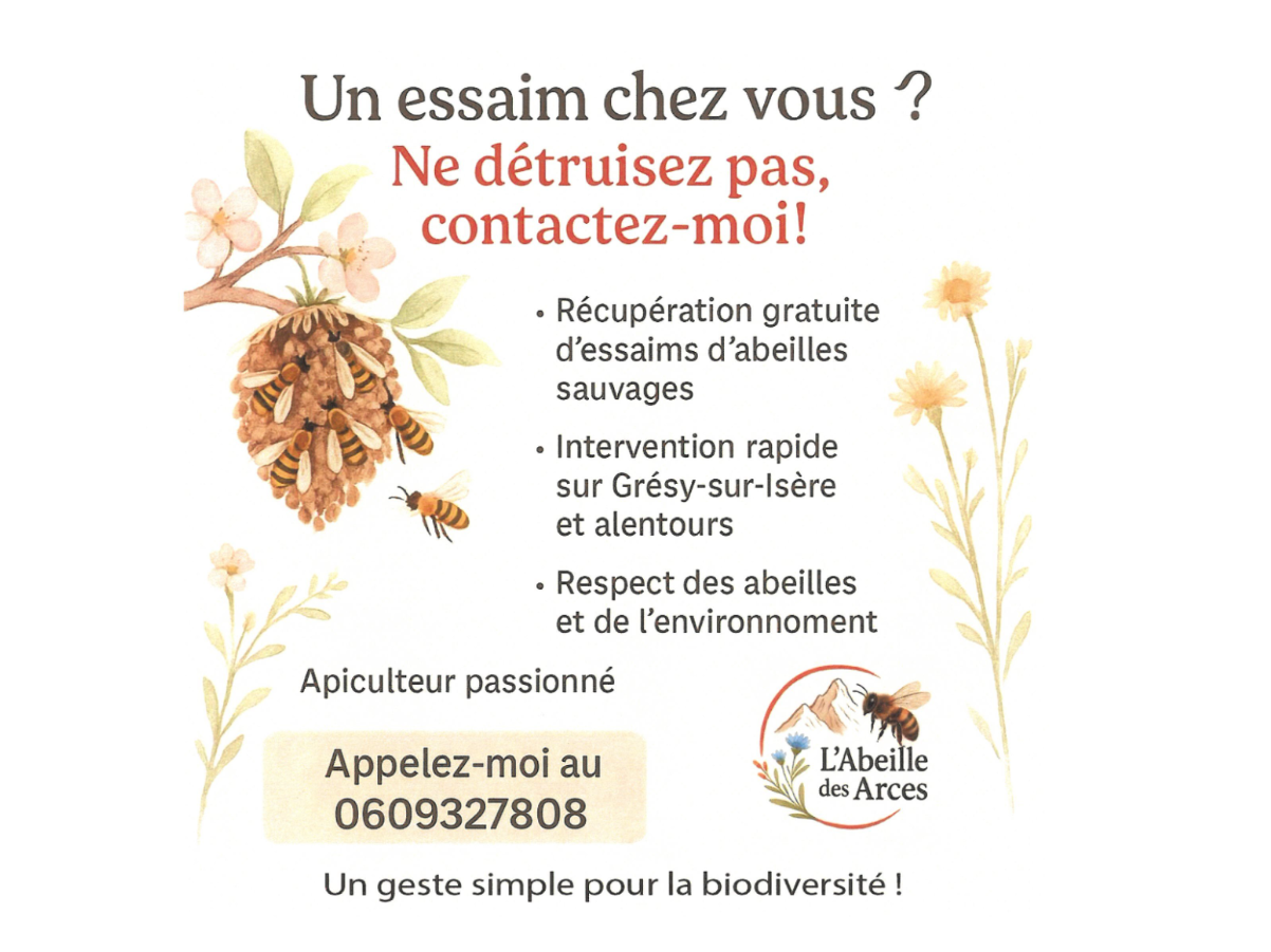 Image par défaut