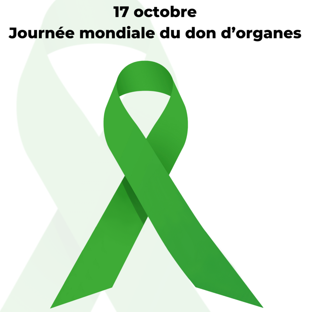 Image par défaut