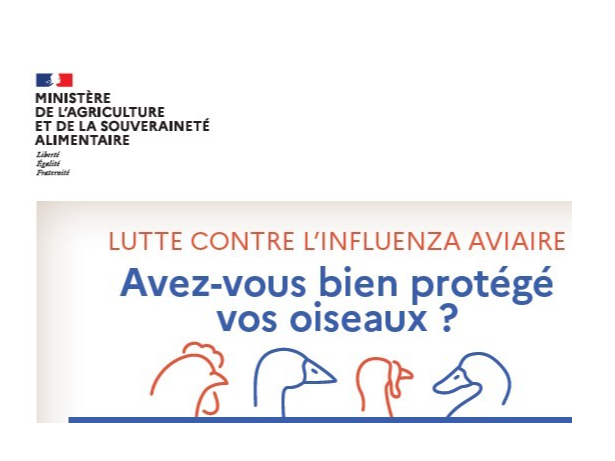 Image par défaut