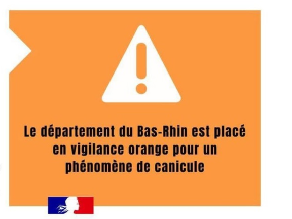 Image par défaut